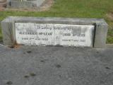 image of grave number 902418